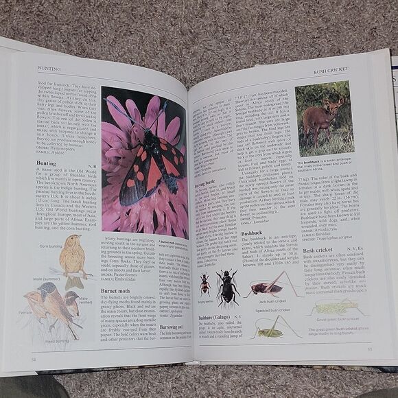 Collier's Illustrated Encyclopedia of Animals - Aardvark to Zorille + 2,000 More - Picture 11 of 14